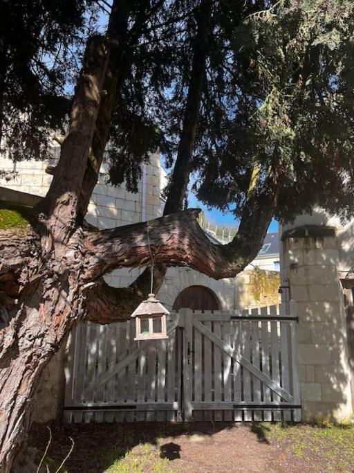 Le Relais De L'Artiste Villa Turquant Exteriör bild